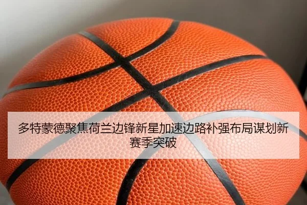 多特蒙德聚焦荷兰边锋新星加速边路补强布局谋划新赛季突破